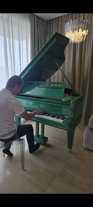 Pian cu coadă scurtă Malmsjo  1,35m lungime