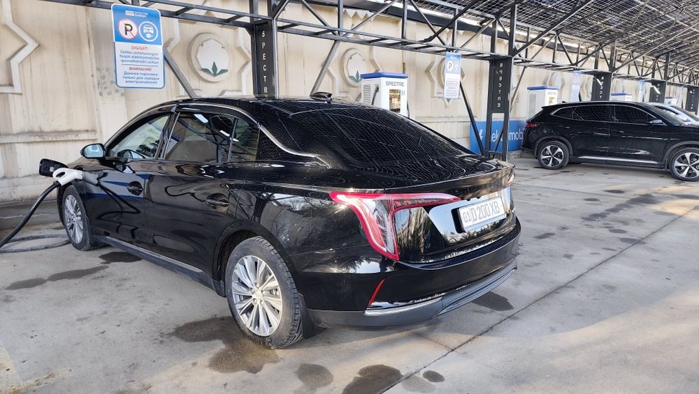 Аренда Hongqi E-qm5