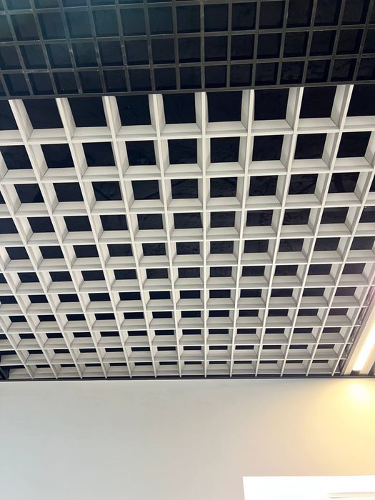 Grilyato grilata grilyanda kletka potolok setka patalok grelata girily