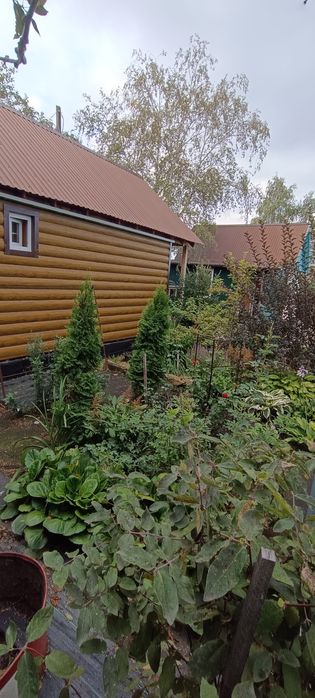 Продам дачу в дачном обществе ПК СТ Борки