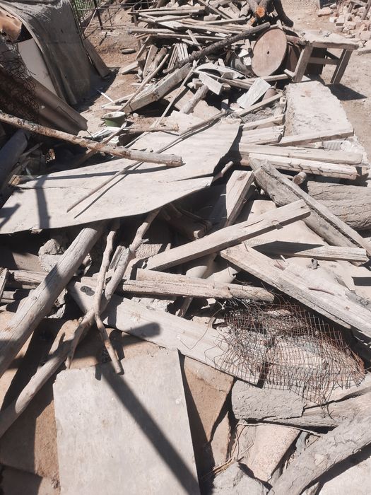 Утин болорлик сотилади