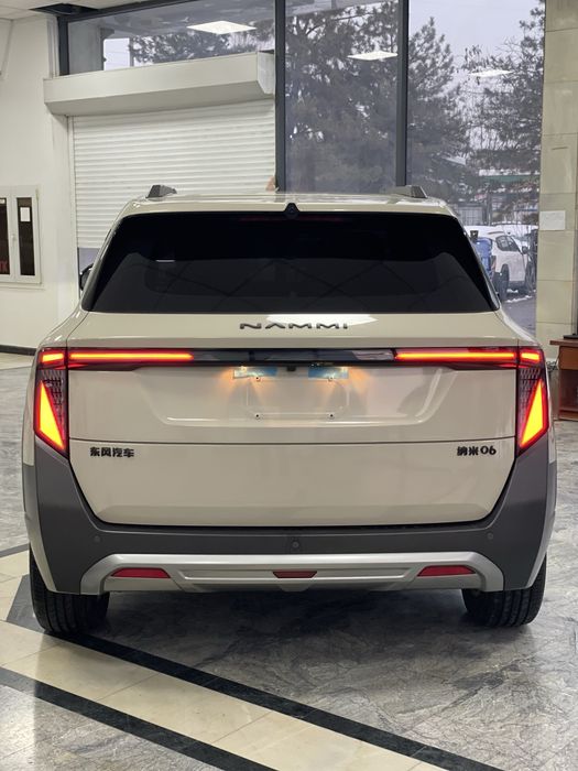 Dong Feng Nammi 06