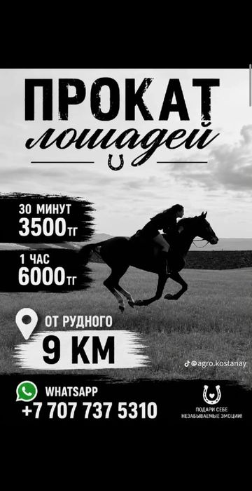 Прокат на лошадях