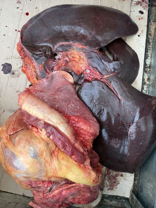 сбой 400 тг кг комплект