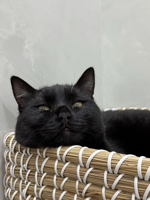 Бесплатно 10 месяц