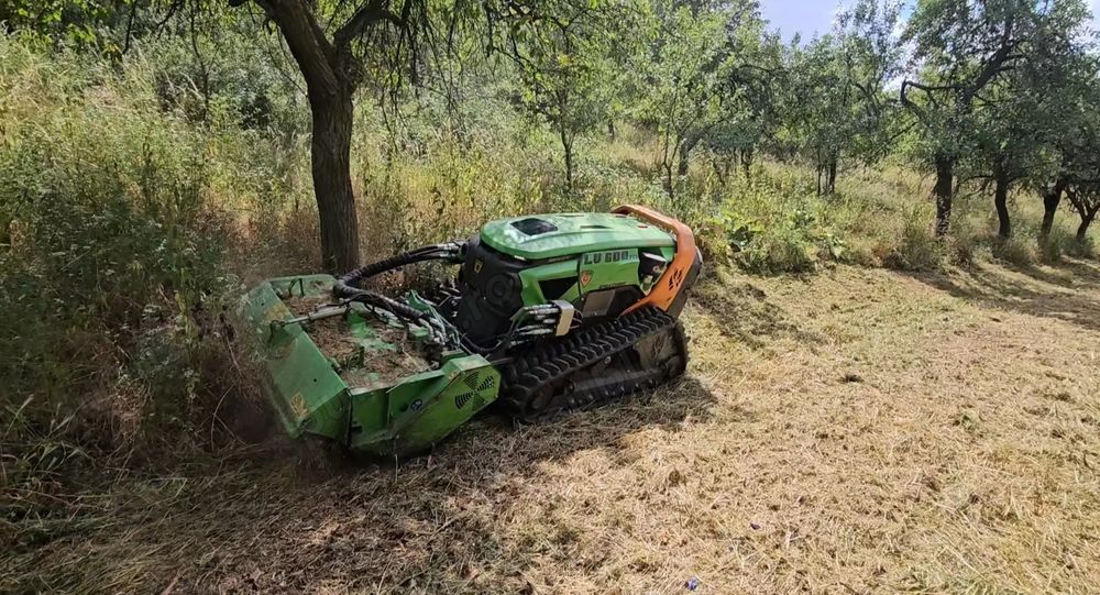 Defrișare teren cu utilaj radiocomandat - Timiș, Arad, Hunedoara, Bihor