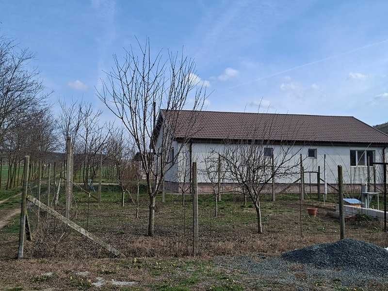 Vând fermă 9Ha, comuna Peștera,  județul Constanța