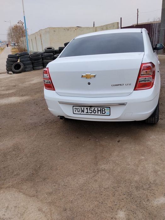 Kobilt 2024 yil kiraska toza yurgani 53000 ming