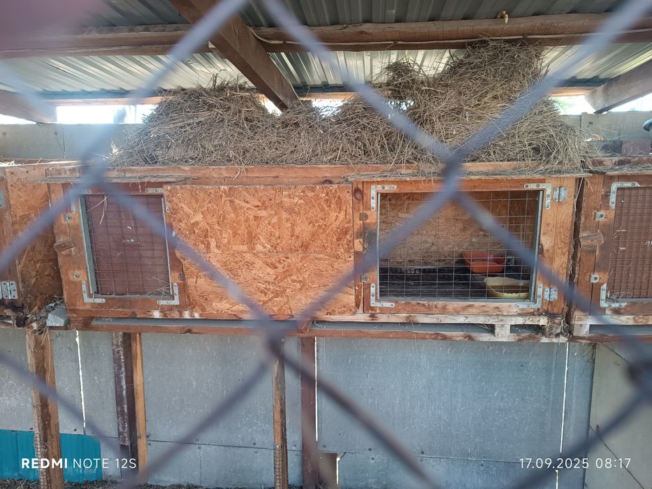 Клетки для кроликов