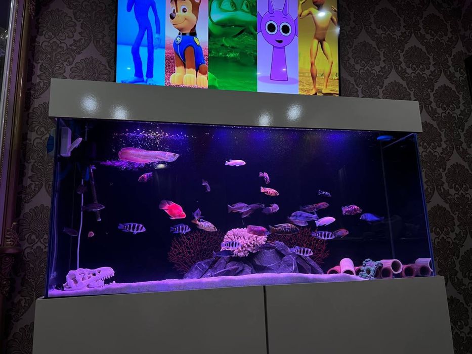 Аквариум сотилади