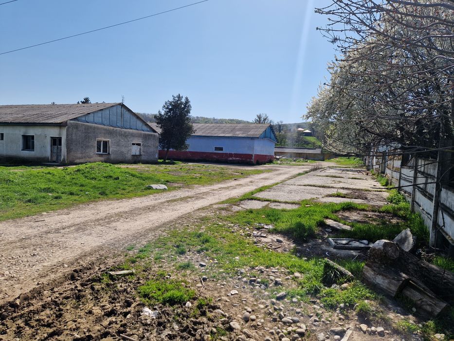 Vand teren intravilan 44113 mp la E85 - langa Bacau