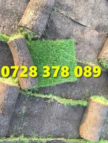 Rulouri de gazon plus Montaj !