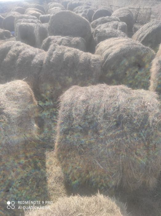 Продам Тюки 6000 тысяч