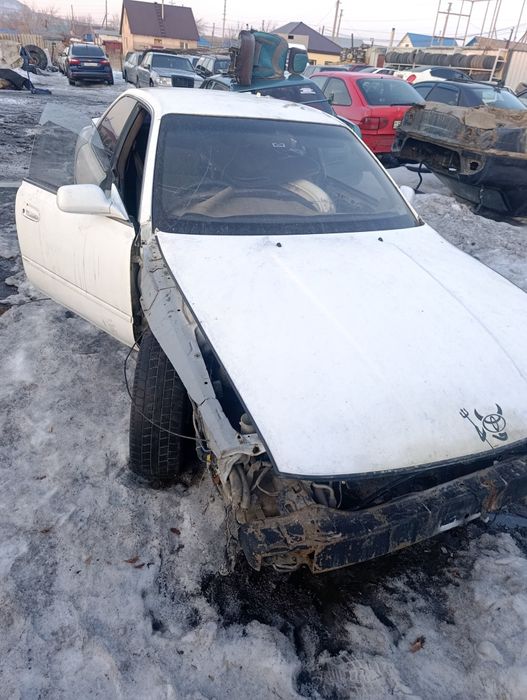 Разбор полный    .