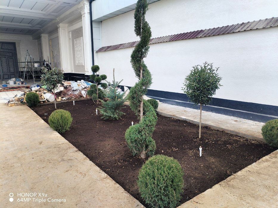 Sadivnik landshaft dizayni