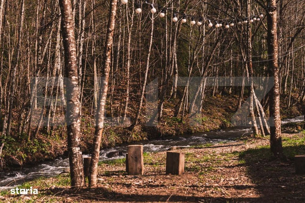 Resort montan premium de vanzare - Colibita