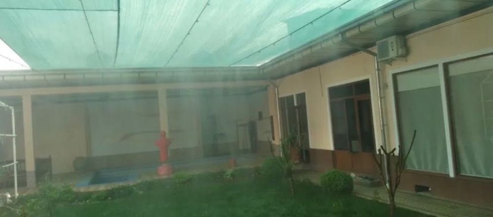 Газон рулон посев