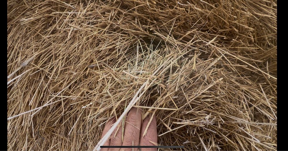 Сено шөп рулон пресс