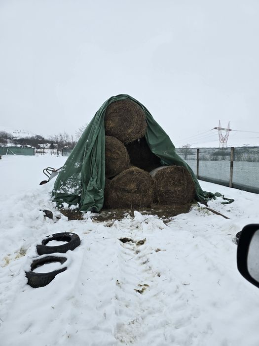 Vand baloti lucerna 120x120