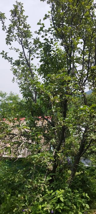 Продам дачу, в районе Каменское плато