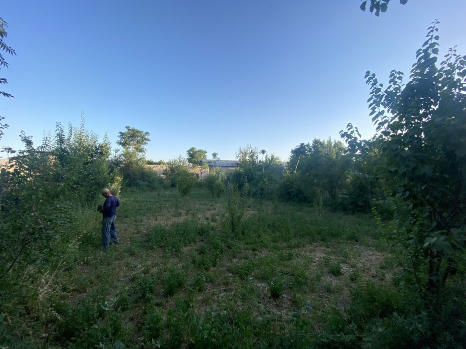 Yer uchastka sotiladi srochna