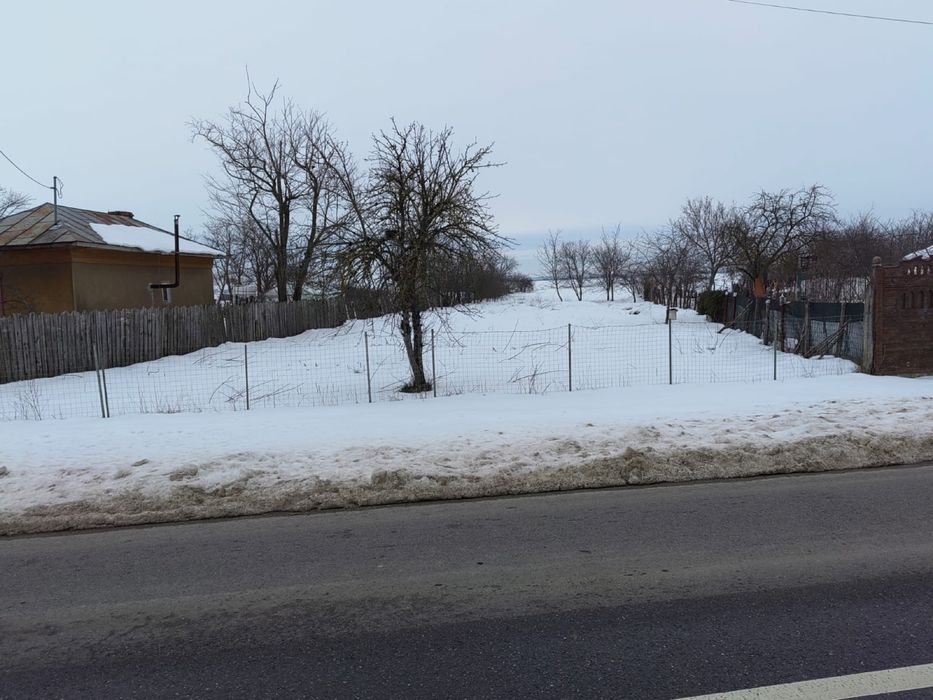 Vanzare Teren, din Niculești