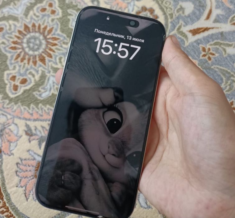 16 про 256 титан