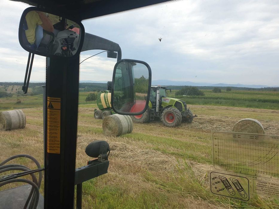 lucerna si amestec trifoi cu lucerna si golomat