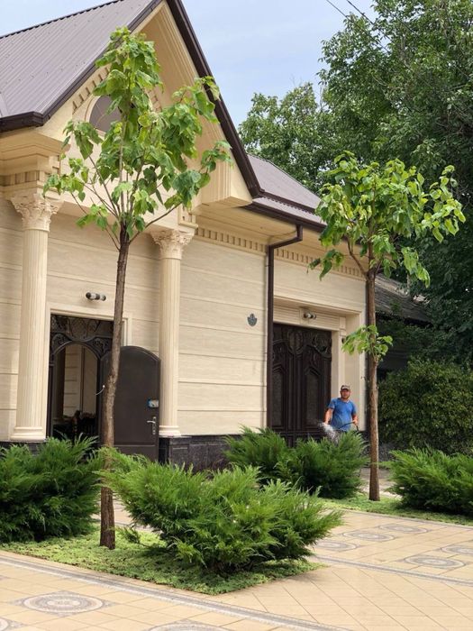 Газоны ландшафтной дизайн