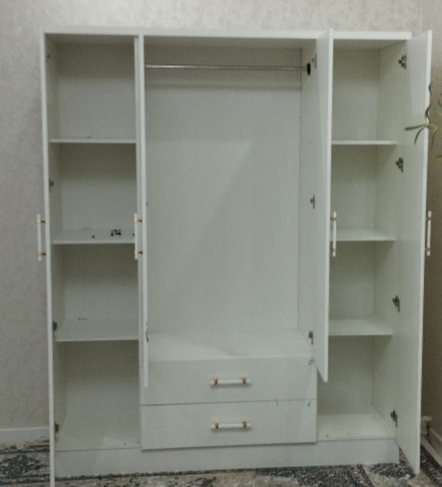 Shikafimiz zamon talabi hohlagan rangezda chiqadi