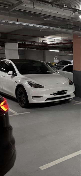 Model Y, Long Range, Американка