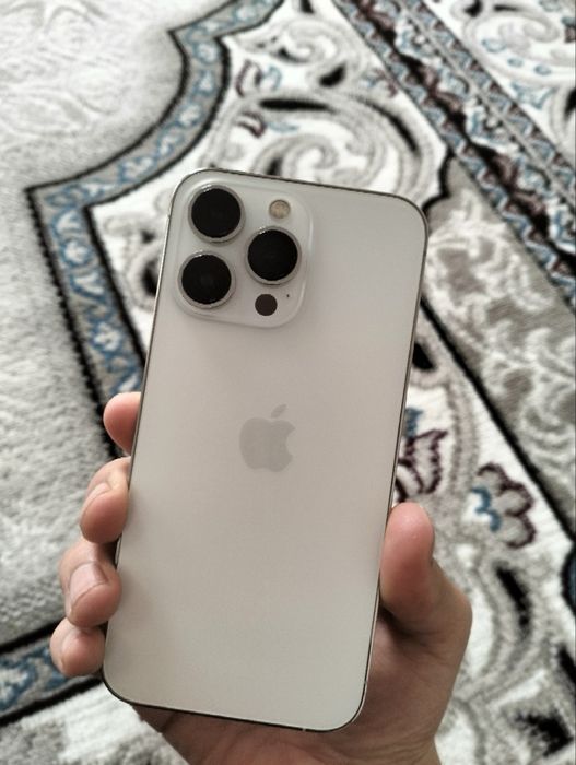 iPhone 13 Pro (256 GB)