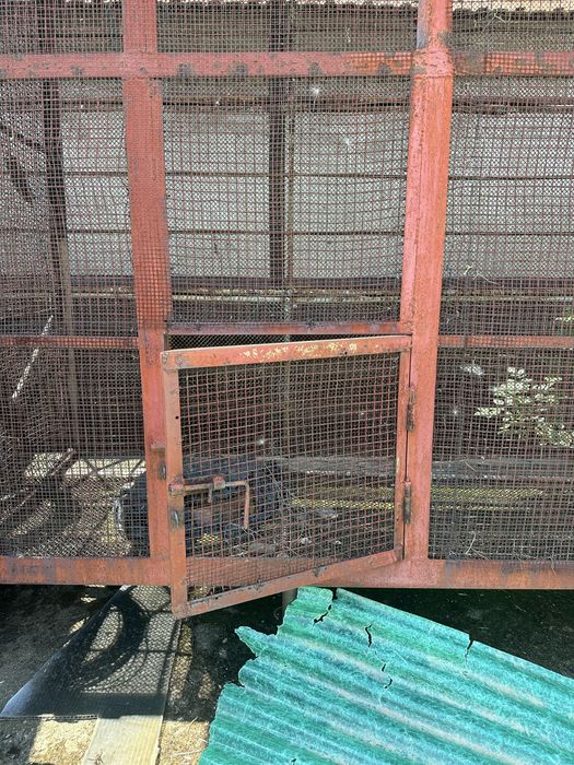 Vând pătul (coș de porumb) metalic – construcție solidă