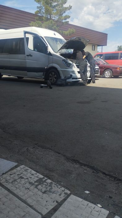 Перевозка пассажиров