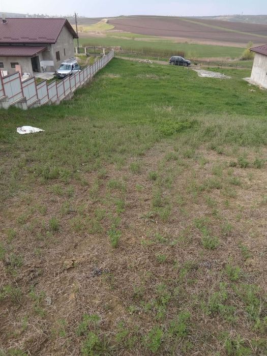 Teren intravilan Catamaresti