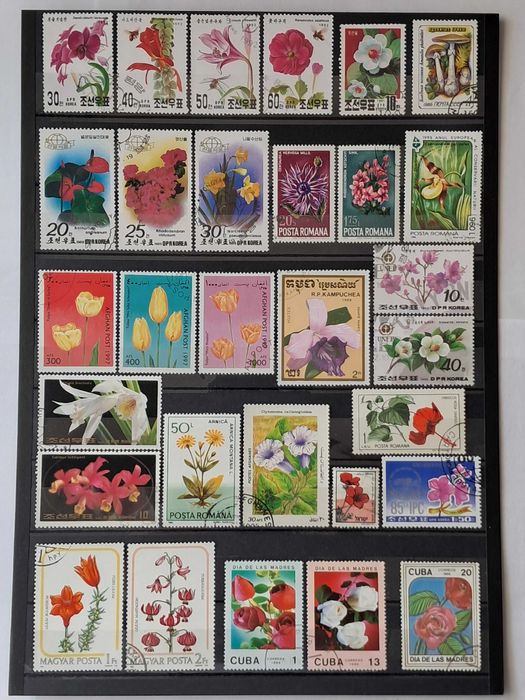 Пощенски марки тема ”Растения”.