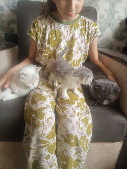 Зотдор мушуклар сотилади