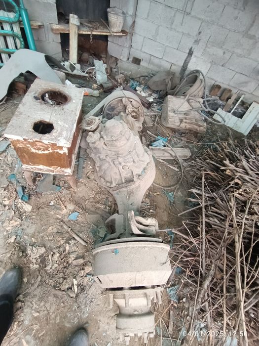 Chulok oʻrta moʻs krakadilniki