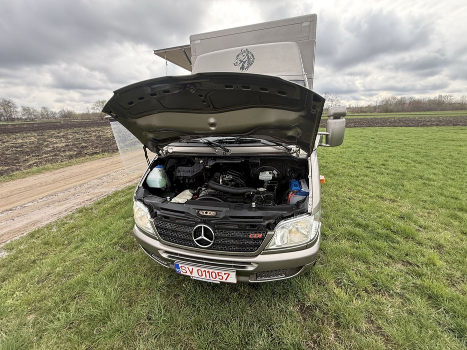 Vand autoutilitara transport cai stare impecabila