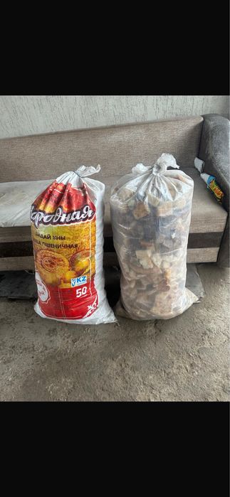 Нан қойға , тауыққа