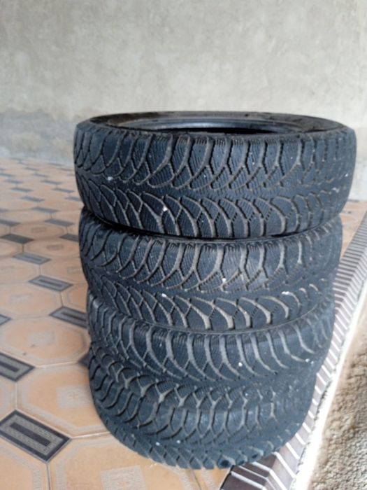 Зимный быр кыс журилген