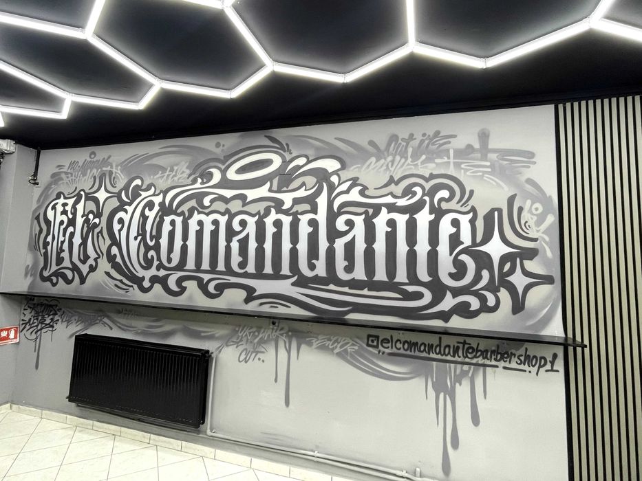 Graffiti / picturi pe pereti - spatii private, spatii comerciale