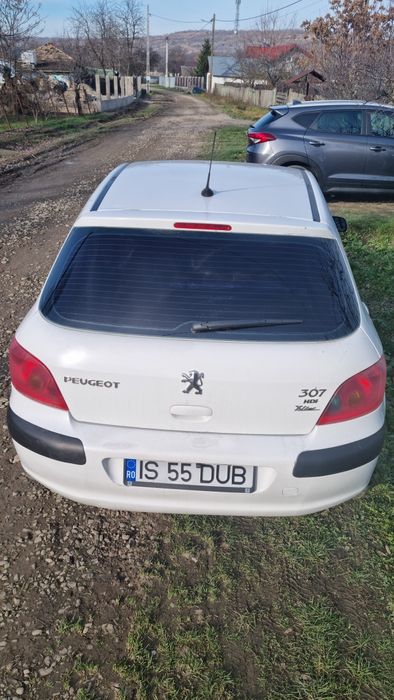 Vand Peugeot 307