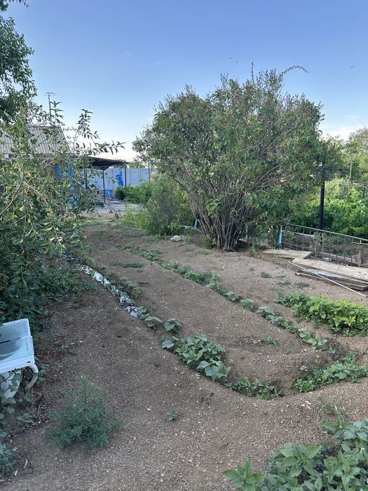 Продается дача на 1 водоколонке