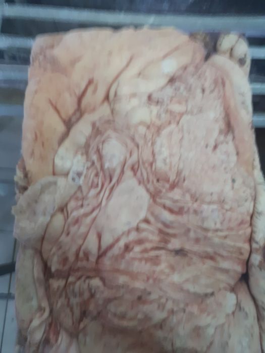 Продам жир говяжий оптом