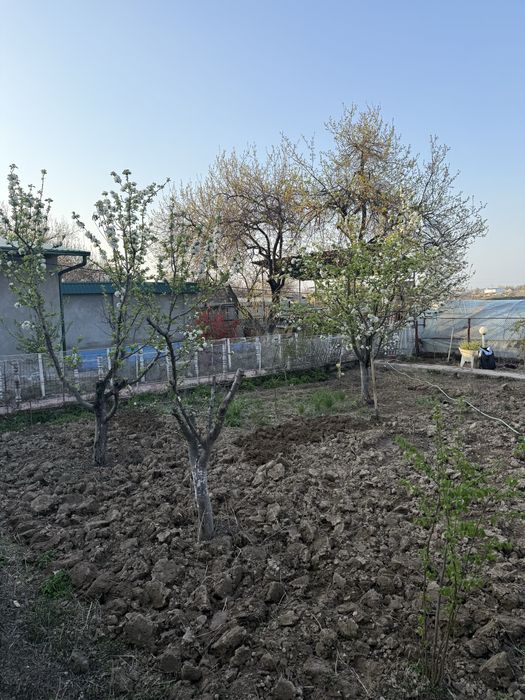 Сотилади дача, 6 сотих Продается дача 6 соток