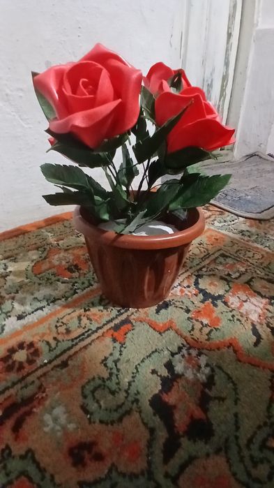 Izalon Gullar zakazga