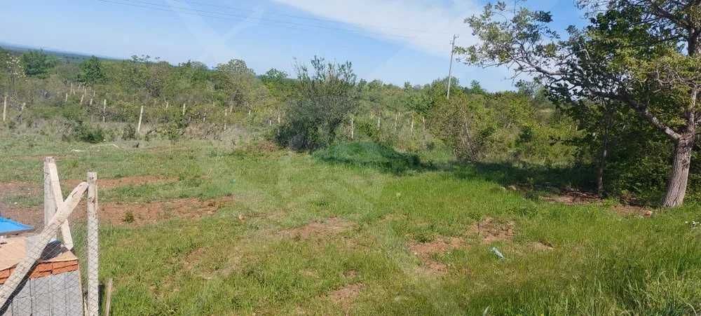 Парцел в село Червен 38804