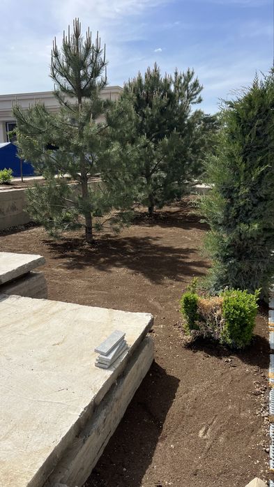 Газон автополив шымкент