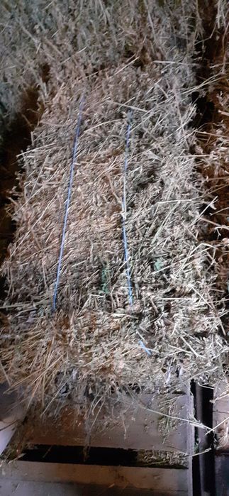 Baloți de lucernă de vînzare.